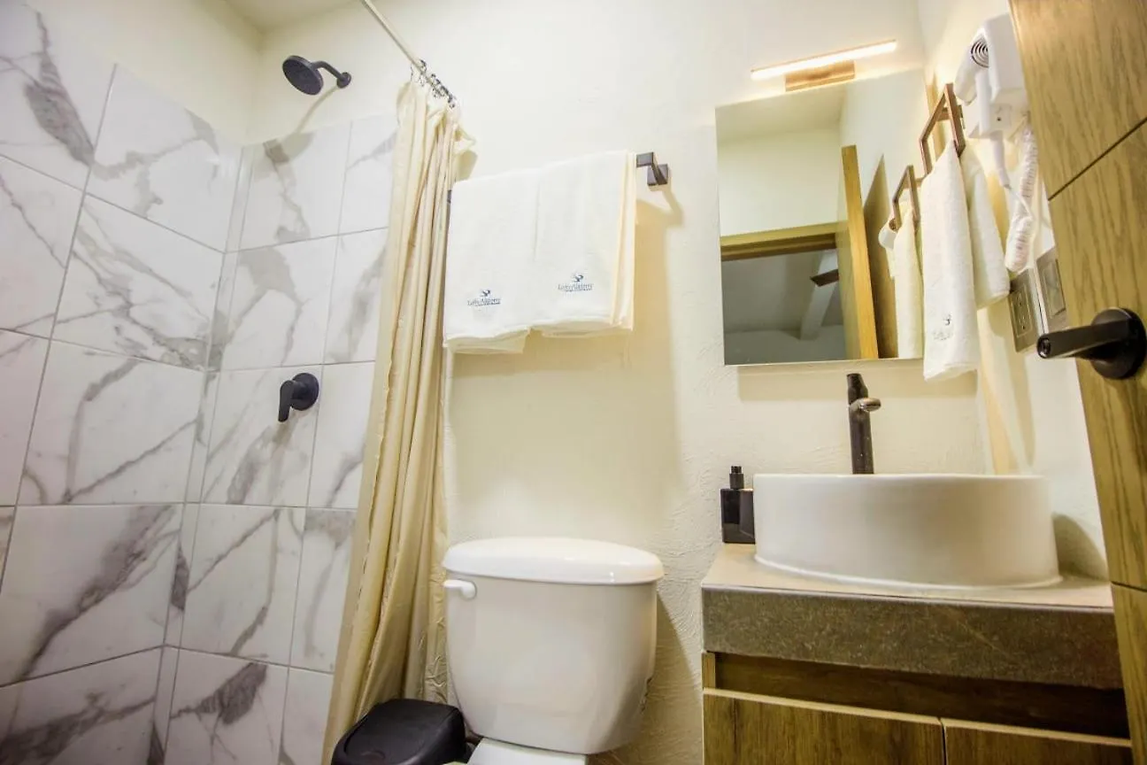 Loft Alatorre Aparthotel Guadalajara